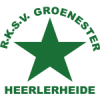 RKSV格罗内队标
