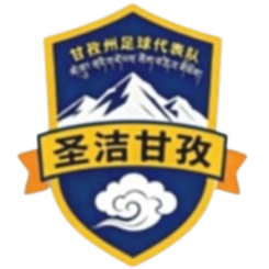 甘孜州有机牦牛队