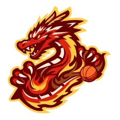 贵州猛龙