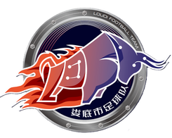 娄底队队标