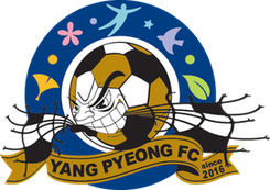 杨平队标
