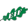 EIF埃克纳斯队标