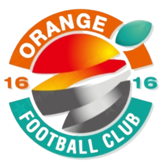 上海赛更达橘橙